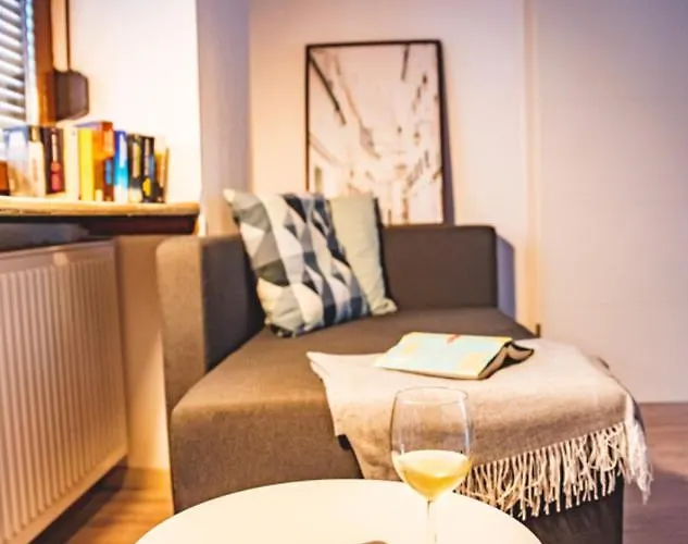 Moderne In City - Fusslaeufig Zum Rhein * 新维德