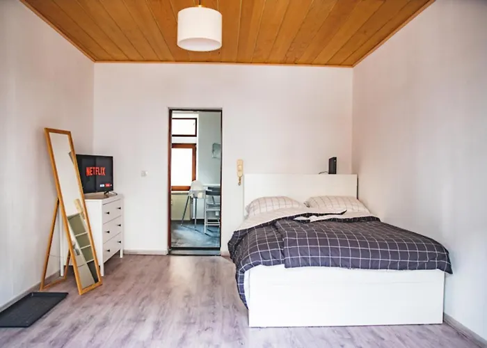 Moderne In City - Fusslaeufig Zum Rhein 公寓 新维德